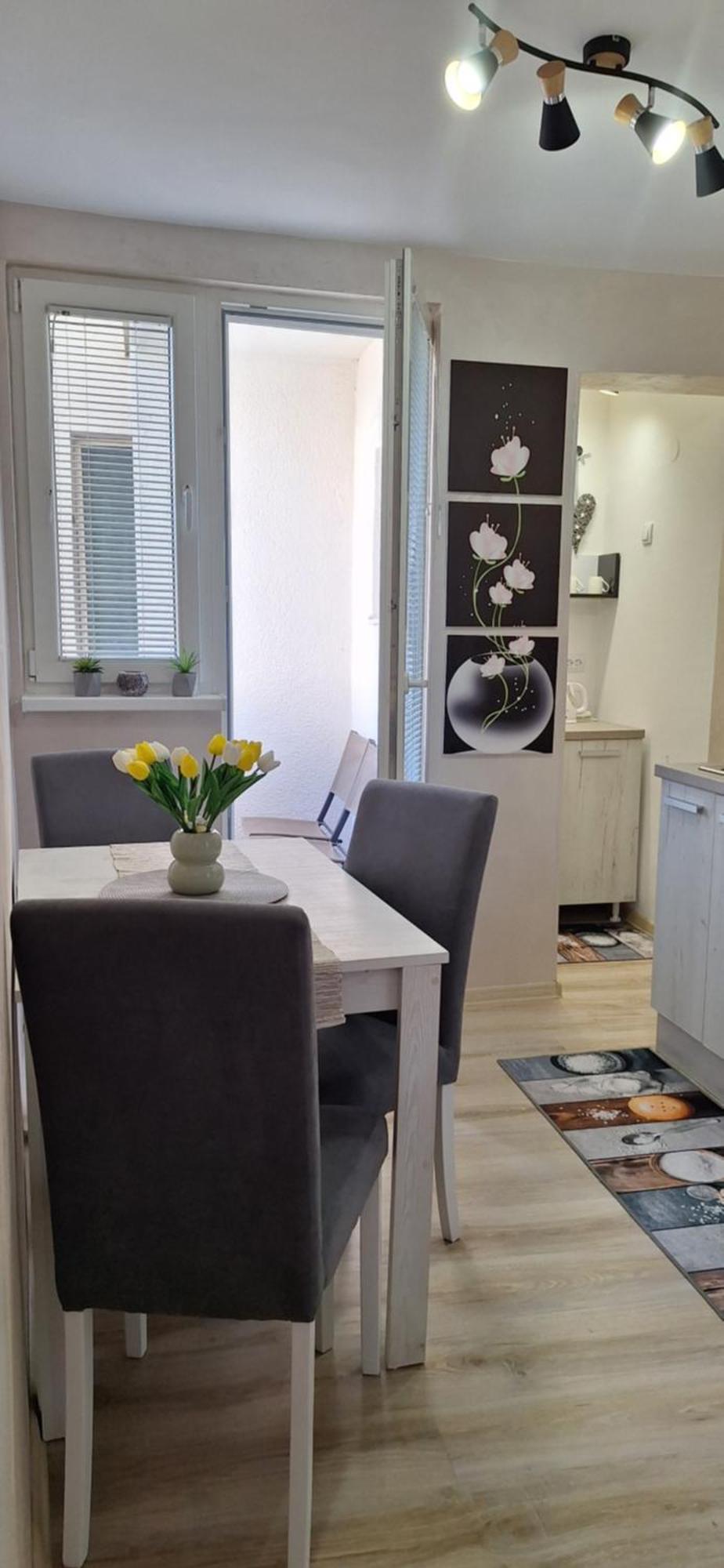 Apartman Lara スボティツァ エクステリア 写真